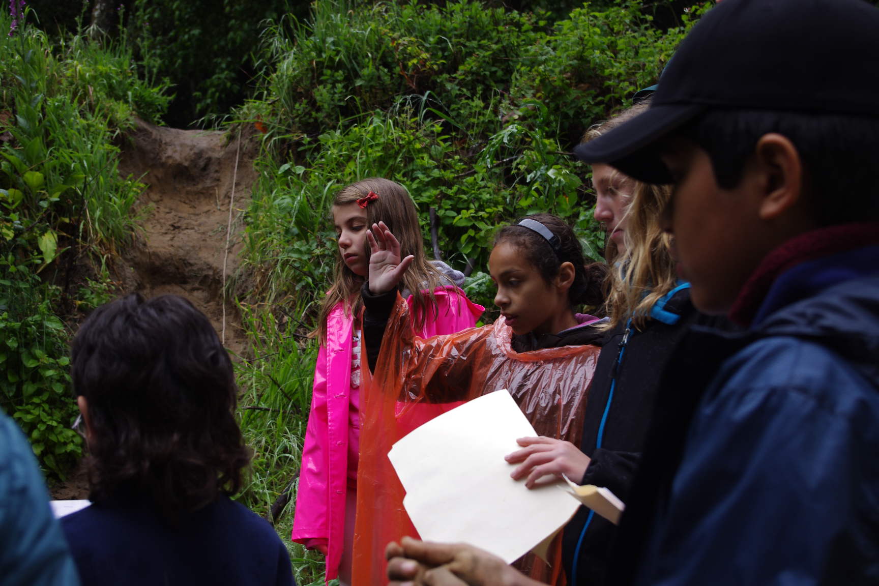 Children on a field trip